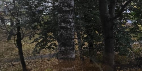 1-комн квартира бульвар Маршала Рокоссовского, 8К3