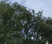 Продать Квартиры вторичка Ясный проезд, 14К1   