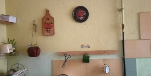 Комната Петергоф г., Эрлеровский бул. ,  д. 4