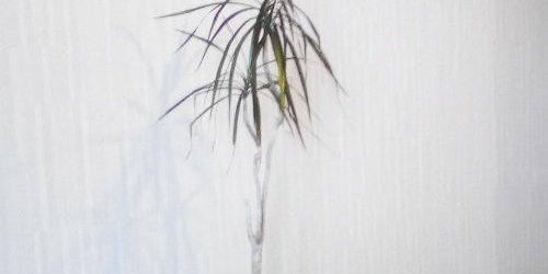 3-комн квартира Первомайский мкр, Речная улица, 4