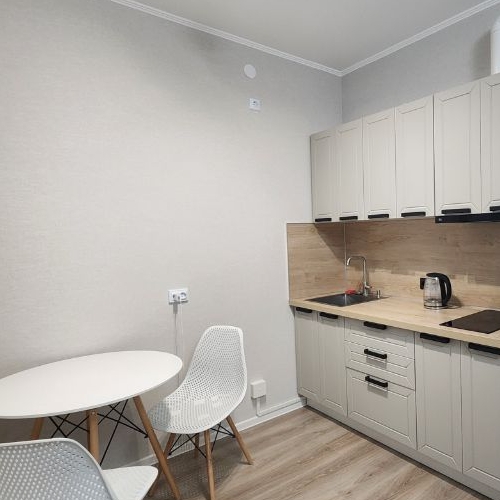 Студия пос. Шушары, улица Нины Петровой, 6к5