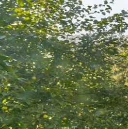 Продажа 4-комн квартиры на вторичном рынке улица Лени Голикова, 30