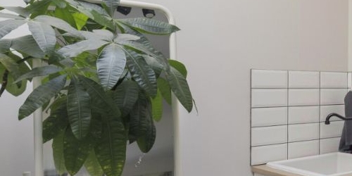 Студия улица Восстания, 40