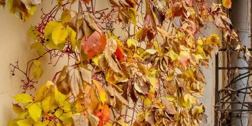 2-комн квартира 13-я Красноармейская улица, 6