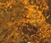 Продать Комнаты в квартирах Лебедянская улица, 30   