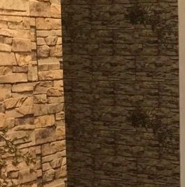 Аренда 1-комн квартиры на вторичном рынке Дунайский проспект, 3