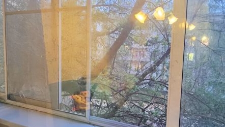 2-комн квартира Алтайская улица, 26