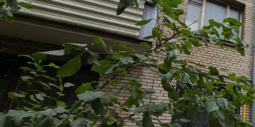 1-комн квартира улица Константина Симонова, 4