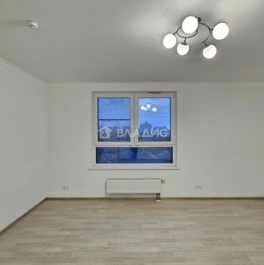 Продажа 1-комн квартиры на вторичном рынке Светланова ул,  д. 11 к1