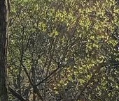 Продать Квартиры вторичка улица Седова, 97К7   