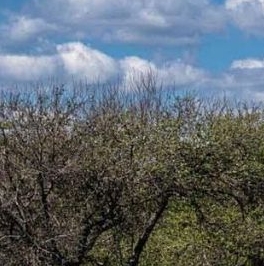 Аренда студии улица Василисы Кожиной, 13 Аренда студии улица Василисы Кожиной, 13