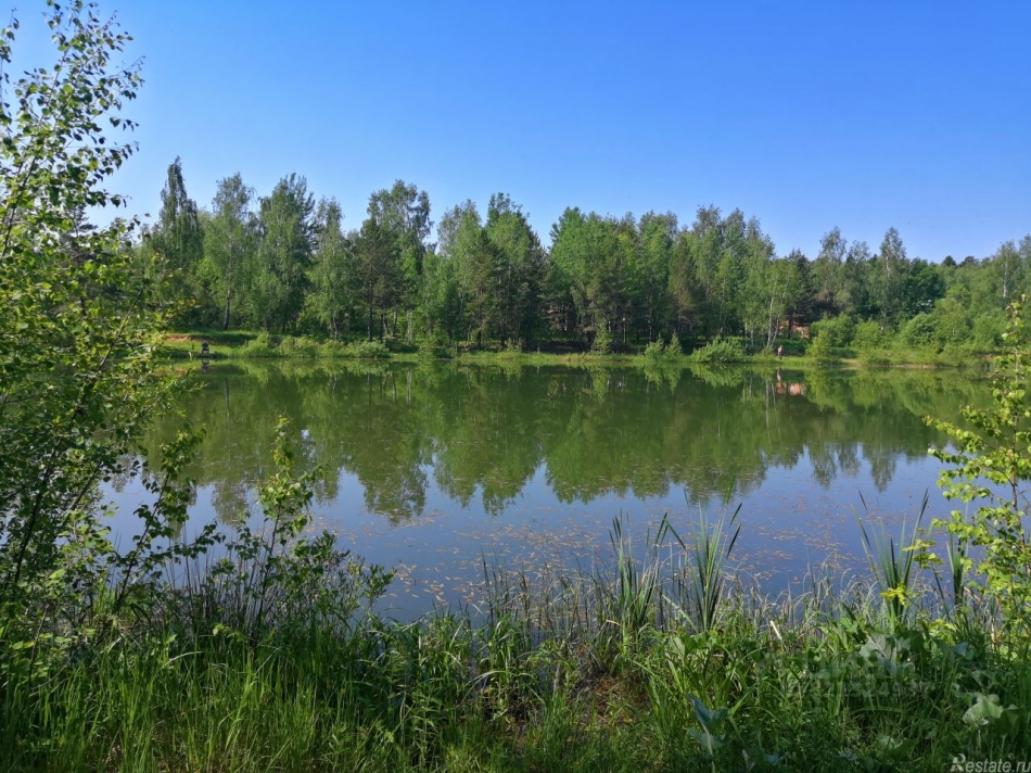 Продажа земли Райсемёновское, 46Н-11244