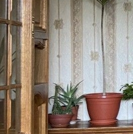 Продажа 1-комн квартиры на вторичном рынке Народная улица, 53 Продажа 1-комн квартиры на вторичном рынке Народная улица, 53