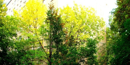 2-комн квартира Молдавская ул ,  д. 2,  к. 2