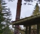 Продать Дачи, коттеджи, загородные дома Петроградского района Петроградец дачный потребительский кооператив, улица Петроградская  10 