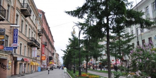 1-комн квартира 6-я Линия, 17Б