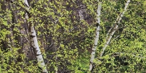 2-комн квартира Болотная улица, 14