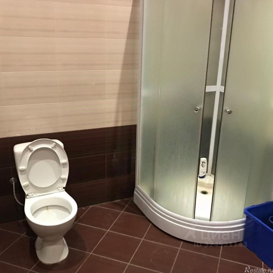 Аренда дома Салтыковка, Центральная улица,  д. 11