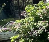 Продать Дачи, коттеджи, загородные дома Содружество СНТ, 280   