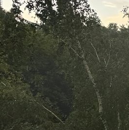 Продажа 1-комн квартиры на вторичном рынке Селигерская улица, 22/2 Продажа 1-комн квартиры на вторичном рынке Селигерская улица, 22/2