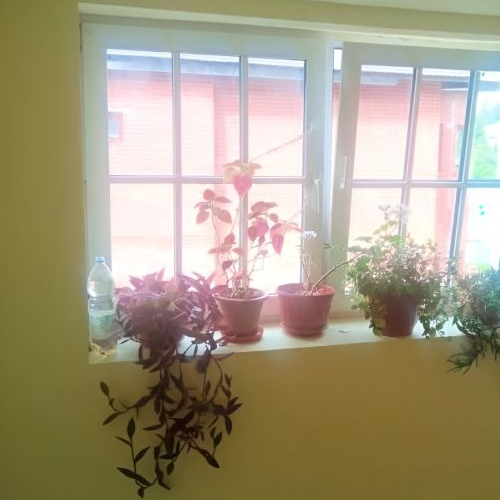 1-комн квартира пос. Стрельна, Санкт-Петербургское шоссе, 108к2