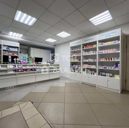 Помещение свободного назначения Ивантеевка г, Хлебозаводская ул