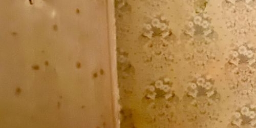 2-комн квартира Кастанаевская улица, 5