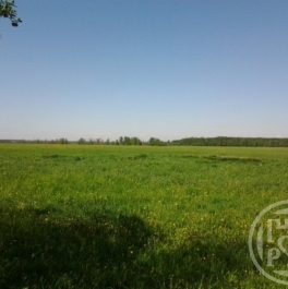 Продажа земли Старая дер., Колтушское шос. Продажа земли Старая дер., Колтушское шос.