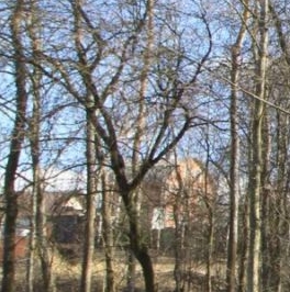 Продажа земли Захожье-2 садоводческий массив, Захожье-5 СНТ Продажа земли Захожье-2 садоводческий массив, Захожье-5 СНТ