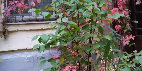 2-комн квартира Хитровский переулок, 3/1С1