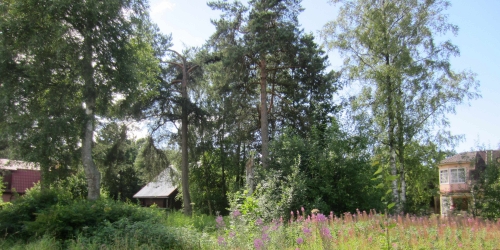 Земельный участок Тарховка, ул. Тарховская,  д. 7