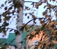 Продажа квартиры на вторичке Пушкин, Красносельское шоссе, 28к5