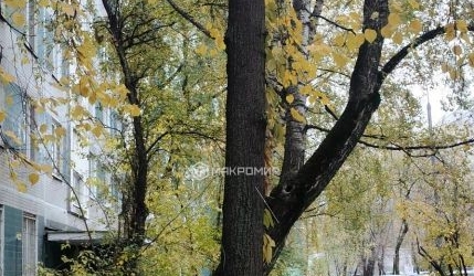 3-комн квартира улица Коненкова, 11Б