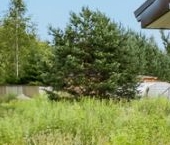 Продать Дачи, коттеджи, загородные дома д. Пухолово, улица Апраксинская, 6   