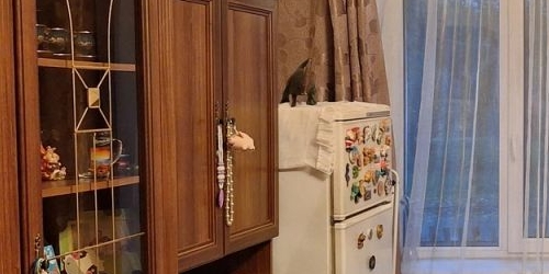 Комната Сестрорецк, улица Писемского, 2к2