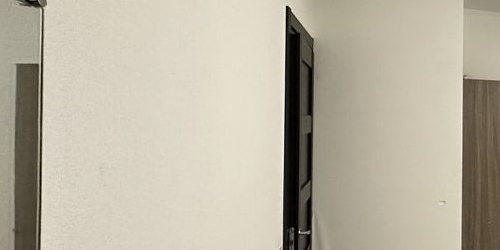 1-комн квартира проспект Ветеранов, 169к1