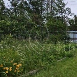 Продажа дома Фауна СНТ, 148 Продажа дома Фауна СНТ, 148