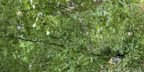 2-комн квартира Пловдивская улица, 2