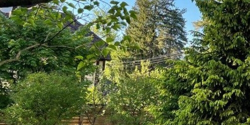 Коттедж/дом пос. Лисий Нос, Озерковская улица