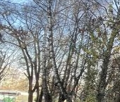 Продать Квартиры вторичка Реутов, Новая улица  9А 