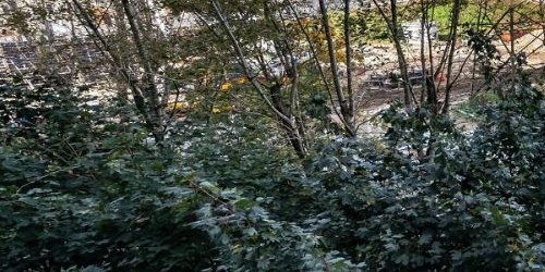 2-комн квартира улица Белы Куна, 27к1