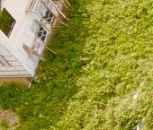 Продать Земельные участки, земля Разметелево кп, д. Разметелево   