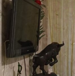 Продажа 2-комн квартиры на вторичном рынке Тосно г., шоссе Московское, 36