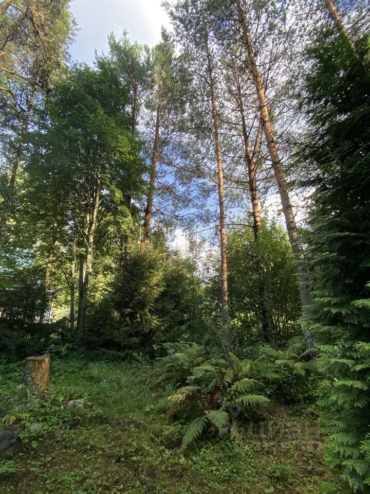 Продажа дома Дружба дачный потребительский кооператив, переулок Низовой
