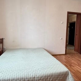 Продажа 1-комн квартиры на вторичном рынке Некрасовка п,  д. 5