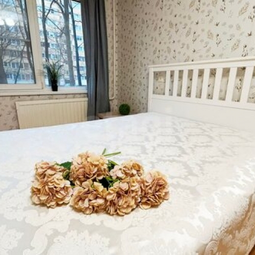 1-комн квартира Луначарского пр-кт,  д. 80 к5
