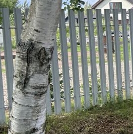 Продажа земли Холидэй Лэнд кп, проспект Кузнецовский, д. 24 Продажа земли Холидэй Лэнд кп, проспект Кузнецовский, д. 24