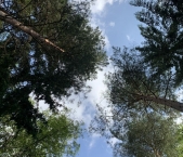 Продать Земельные участки, земля Домодедово, Центральная улица   