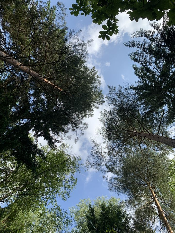 Продажа земли Домодедово, Центральная улица