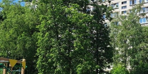 1-комн квартира улица Костюшко, 10